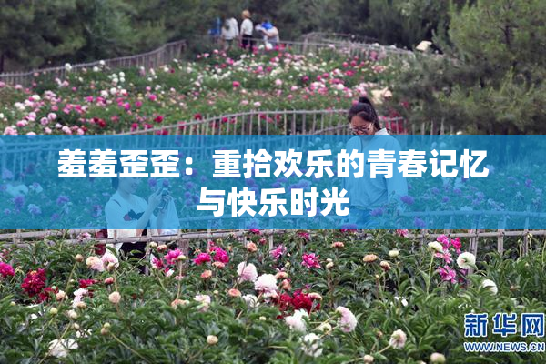 羞羞歪歪：重拾欢乐的青春记忆与快乐时光