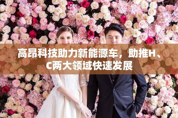 高昂科技助力新能源车，助推H、C两大领域快速发展