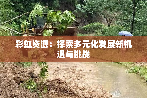 彩虹资源：探索多元化发展新机遇与挑战