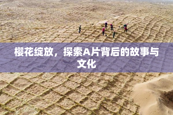 樱花绽放，探索A片背后的故事与文化