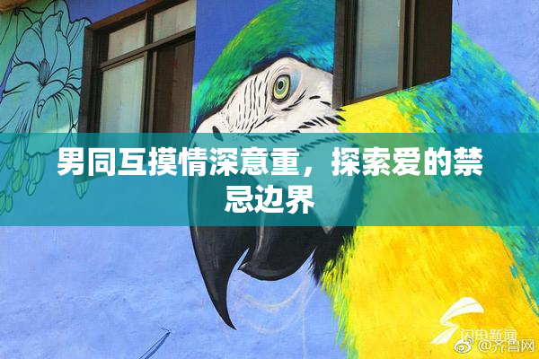 男同互摸情深意重，探索爱的禁忌边界