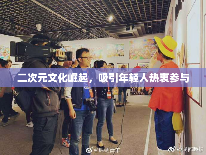 二次元文化崛起，吸引年轻人热衷参与