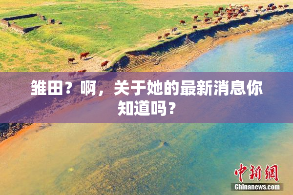 雏田？啊，关于她的最新消息你知道吗？