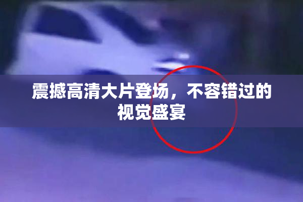 震撼高清大片登场，不容错过的视觉盛宴