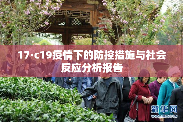 17·c19疫情下的防控措施与社会反应分析报告