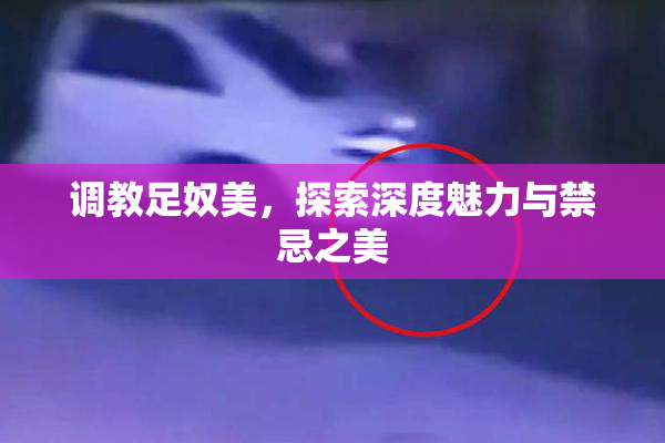 调教足奴美，探索深度魅力与禁忌之美
