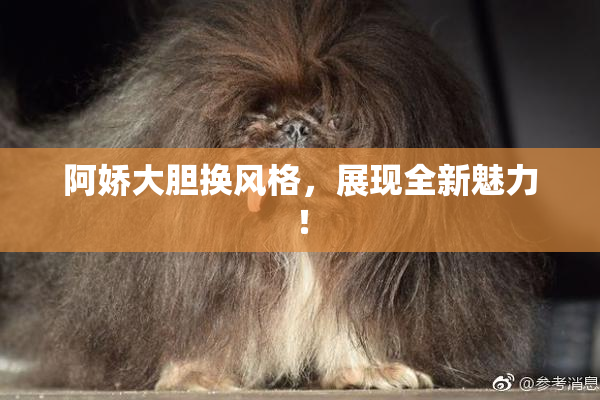 阿娇大胆换风格，展现全新魅力！