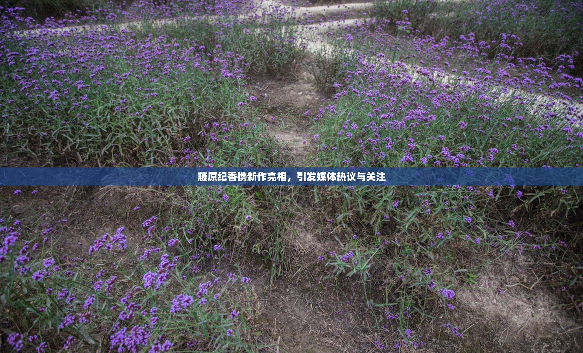 藤原纪香携新作亮相，引发媒体热议与关注
