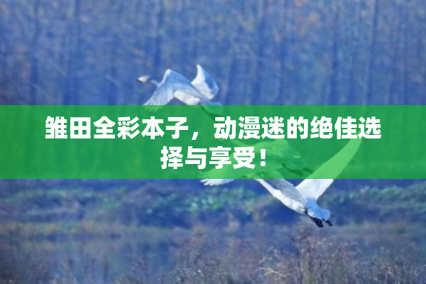 雏田全彩本子，动漫迷的绝佳选择与享受！