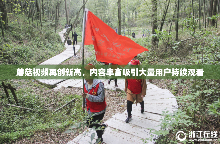 蘑菇视频再创新高，内容丰富吸引大量用户持续观看