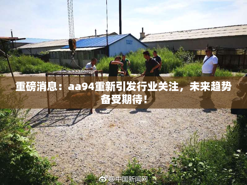 重磅消息：aa94重新引发行业关注，未来趋势备受期待！