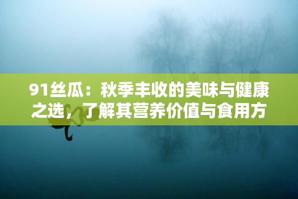 91丝瓜：秋季丰收的美味与健康之选，了解其营养价值与食用方法！