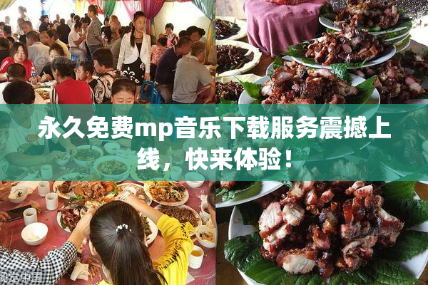 永久免费mp音乐下载服务震撼上线，快来体验！