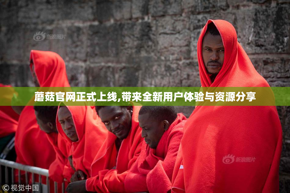 蘑菇官网正式上线,带来全新用户体验与资源分享