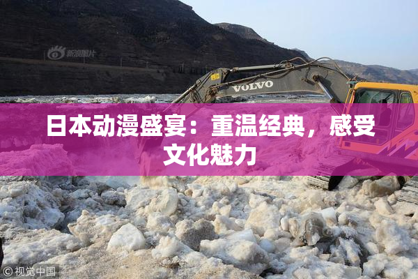 日本动漫盛宴：重温经典，感受文化魅力