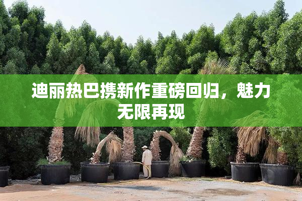 迪丽热巴携新作重磅回归，魅力无限再现