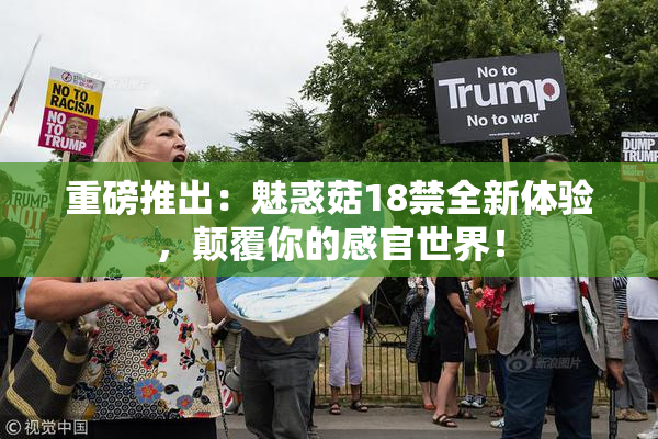 重磅推出：魅惑菇18禁全新体验，颠覆你的感官世界！
