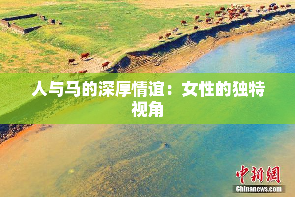 人与马的深厚情谊：女性的独特视角