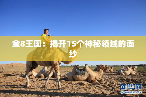 金8王国：揭开15个神秘领域的面纱