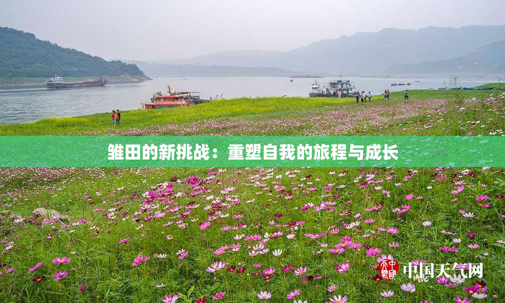 雏田的新挑战：重塑自我的旅程与成长