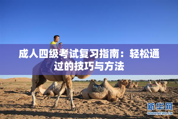 成人四级考试复习指南：轻松通过的技巧与方法