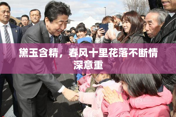 黛玉含精，春风十里花落不断情深意重