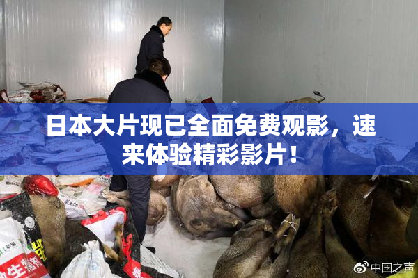 日本大片现已全面免费观影，速来体验精彩影片！