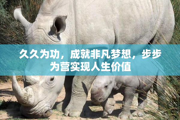 久久为功，成就非凡梦想，步步为营实现人生价值
