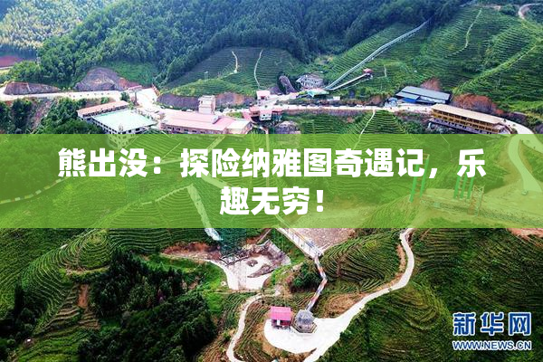 熊出没：探险纳雅图奇遇记，乐趣无穷！