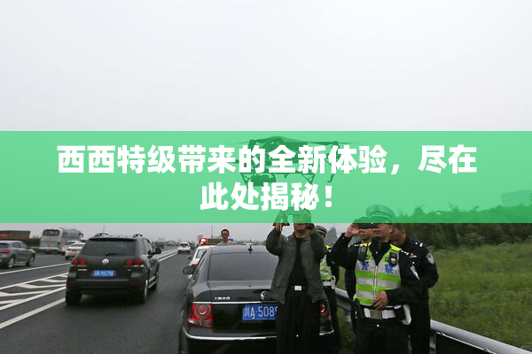 西西特级带来的全新体验，尽在此处揭秘！