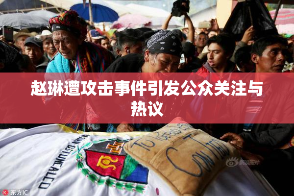 赵琳遭攻击事件引发公众关注与热议