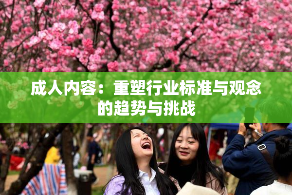 成人内容：重塑行业标准与观念的趋势与挑战