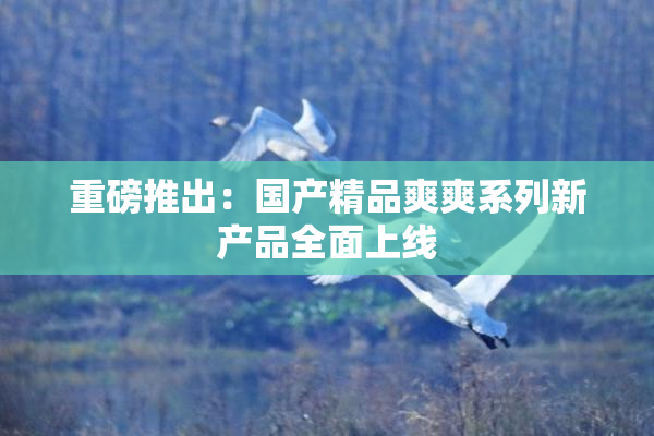 重磅推出：国产精品爽爽系列新产品全面上线
