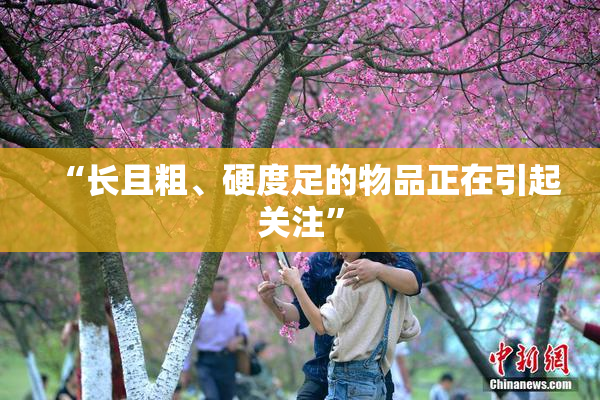 “长且粗、硬度足的物品正在引起关注”