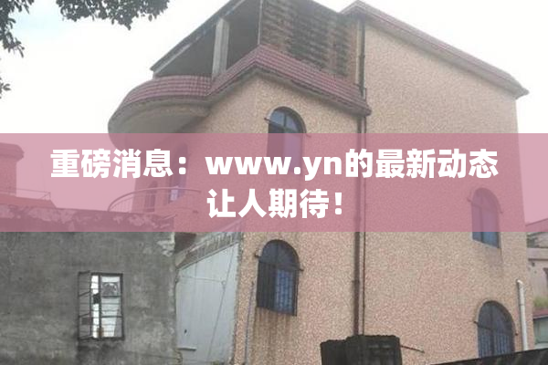重磅消息：www.yn的最新动态让人期待！