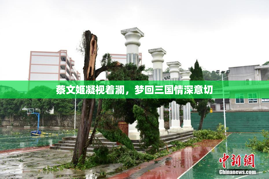 蔡文姬凝视着澜，梦回三国情深意切