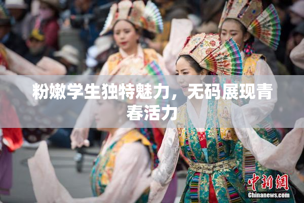 粉嫩学生独特魅力，无码展现青春活力