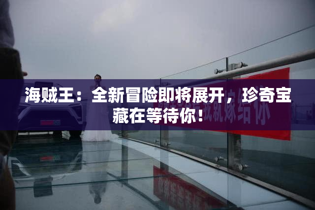 海贼王：全新冒险即将展开，珍奇宝藏在等待你！