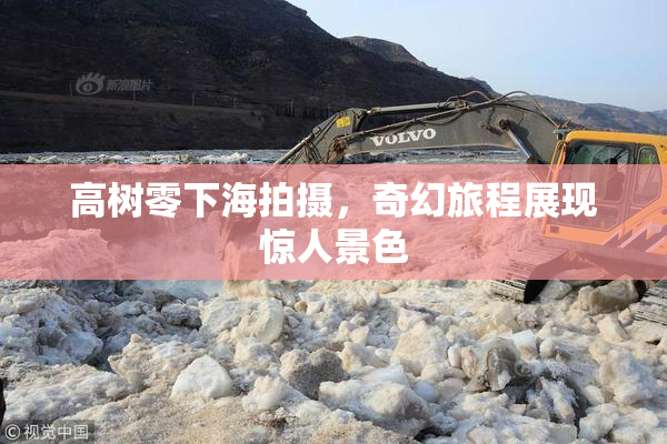 高树零下海拍摄，奇幻旅程展现惊人景色