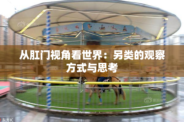 从肛门视角看世界：另类的观察方式与思考