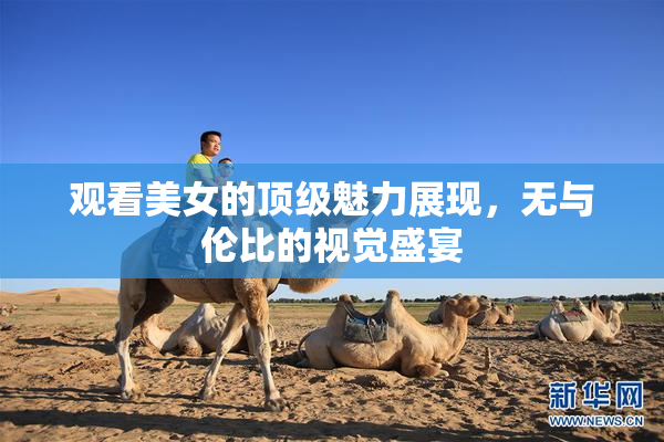 观看美女的顶级魅力展现，无与伦比的视觉盛宴