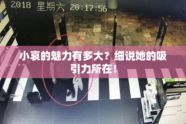 小哀的魅力有多大？细说她的吸引力所在！