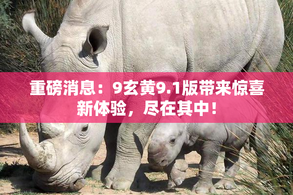 重磅消息：9玄黄9.1版带来惊喜新体验，尽在其中！