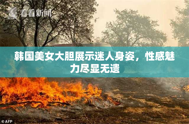 韩国美女大胆展示迷人身姿，性感魅力尽显无遗