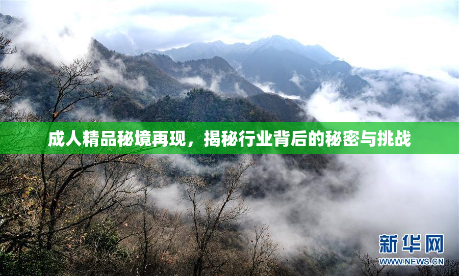 成人精品秘境再现，揭秘行业背后的秘密与挑战