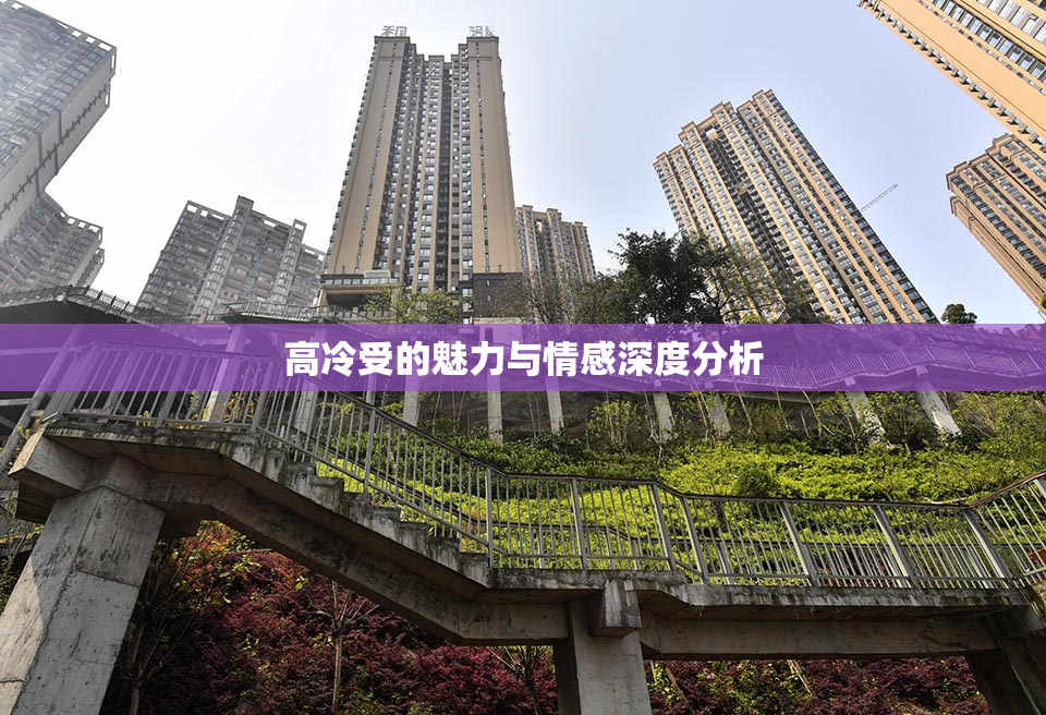 高冷受的魅力与情感深度分析