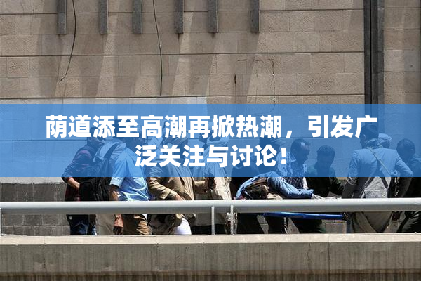 荫道添至高潮再掀热潮，引发广泛关注与讨论！