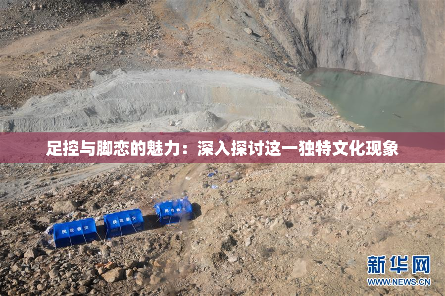 足控与脚恋的魅力：深入探讨这一独特文化现象