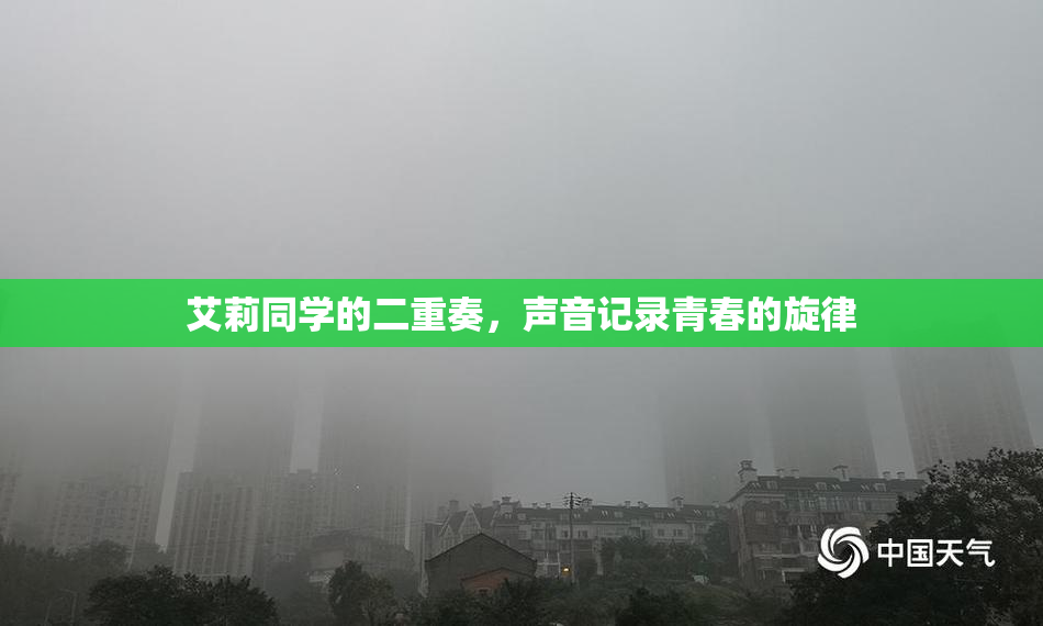 艾莉同学的二重奏，声音记录青春的旋律