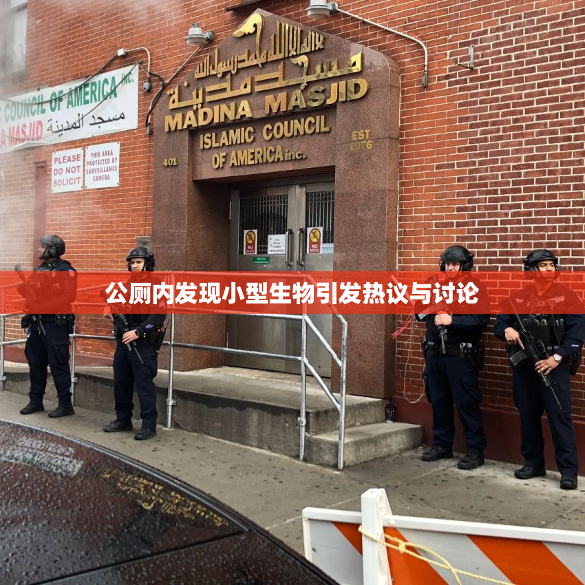 公厕内发现小型生物引发热议与讨论